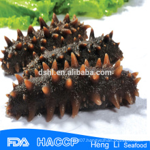 HL011 Delicious seafood Frozen Salted Sea Cucumber